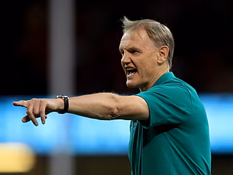 Ireland's Rugby World Cup squa...