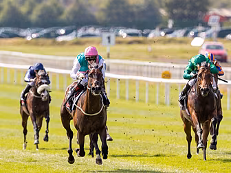 Siskin to miss National Stakes...