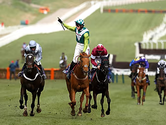 Cheltenham Gold Cup contender...