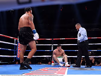 Andy Lee | Gennady Golovkin's...