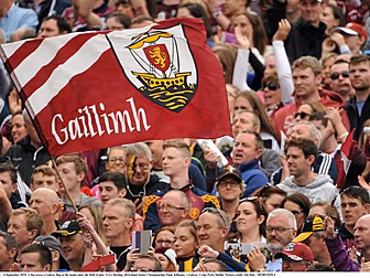 Galway Hurling Manager candida...