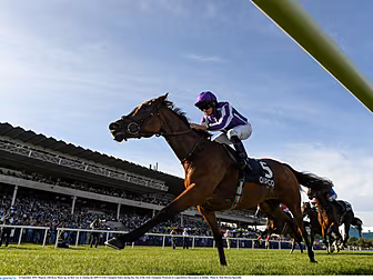 Magical bows out of racing aft...
