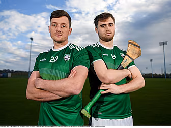 Ireland panel named for Hurlin...