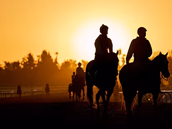 5 things for horseracing fans...