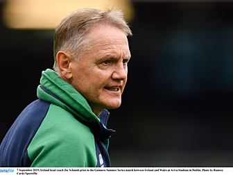 Joe Schmidt not in the running...
