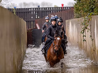 Grand National hero Tiger Roll...