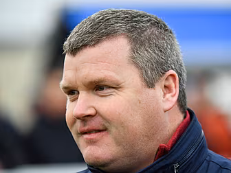 Five stable stars to follow fr...
