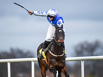 Gold Cup favourite Kemboy clea...