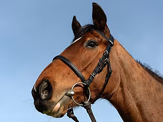 Footpad gets season off to a w...