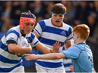 Should the IRFU implement weig...