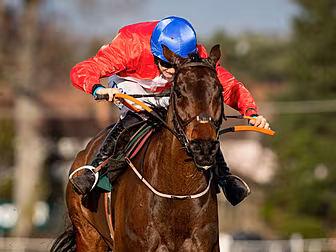 More Grade One glory for Racha...
