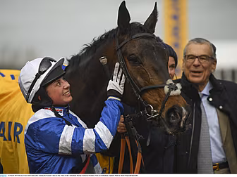 Frodon among 44 Entries in bid...