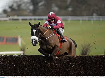 Five clues for Cheltenham in t...