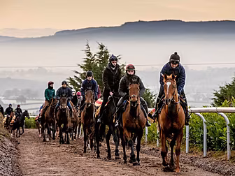 Joseph O'Brien has his biggest...