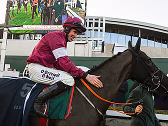 Delta Work ruled out of Chelte...