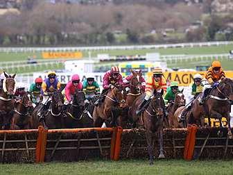Cheltenham Festival will go ah...