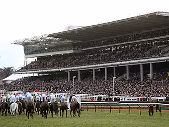 Cheltenham warns visitors with...