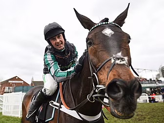 The Cheltenham Show | Tips fro...