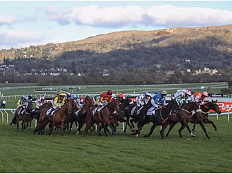 The Cheltenham Show | Naps of...