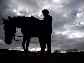 A big race guide to Cheltenham...
