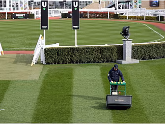 CHELTENHAM TIPS | COMPREHENSIV...