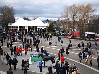 The Cheltenham Show | Festival...