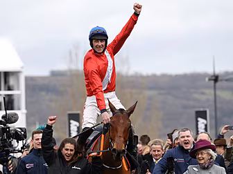 Thom's Tips - Cheltenham Gold...