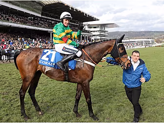 Cheltenham Tips | Comprehensiv...