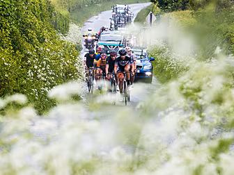 Organisers forced to postpone...