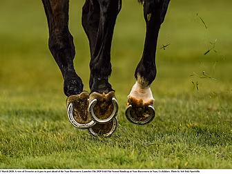 Live racing makes a return in...