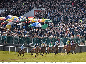 Punchestown and Fairyhouse 202...