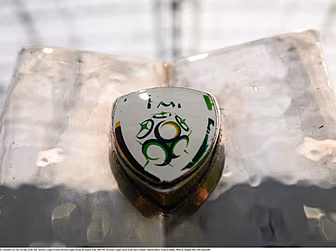 FAI to appoint CEO and develop...