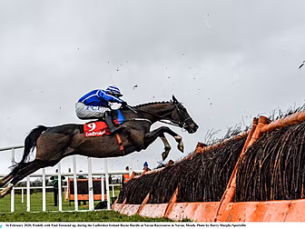 Horse Racing Ireland publish p...