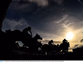 15 jockeys test positive for c...