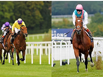 Frankel or Sea The Stars? | Mi...