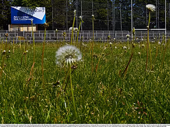 GAA pitches and playing areas...