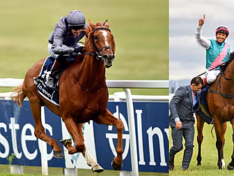 Serpentine added to Enable's P...
