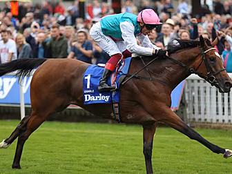Record breaking horse Enable h...