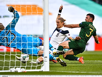 Ireland will 