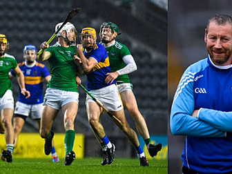 'This Limerick can emulate wha...