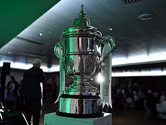 Rescheduled FAI Cup quarter-fi...