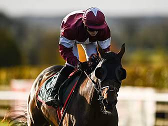 Tiger Roll struggles at Chelte...