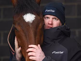 Gordon Elliott to 'cooperate f...