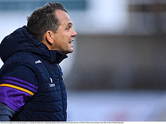Davy Fitzgerald to remain Wexf...