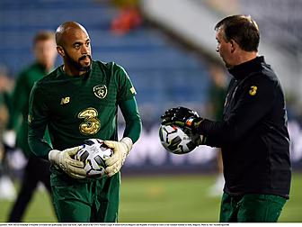 Ireland goalkeeping coach Alan...