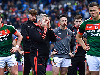 Mayo Pain Rankings | Which All...