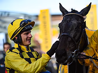 Al Boum Photo wins HRI 2020 Ho...