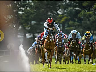Horse Racing Ireland say no Ir...