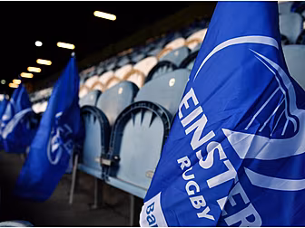 Two Senior Leinster players te...