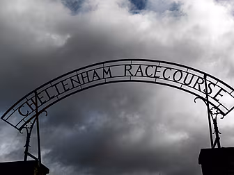 Cheltenham organisers resigned...